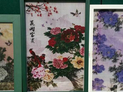彩绘金刚网